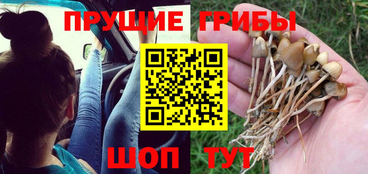 Гусь-Хрустальный  Псилоцибиновые грибы Cubensis  Вход с VPN 