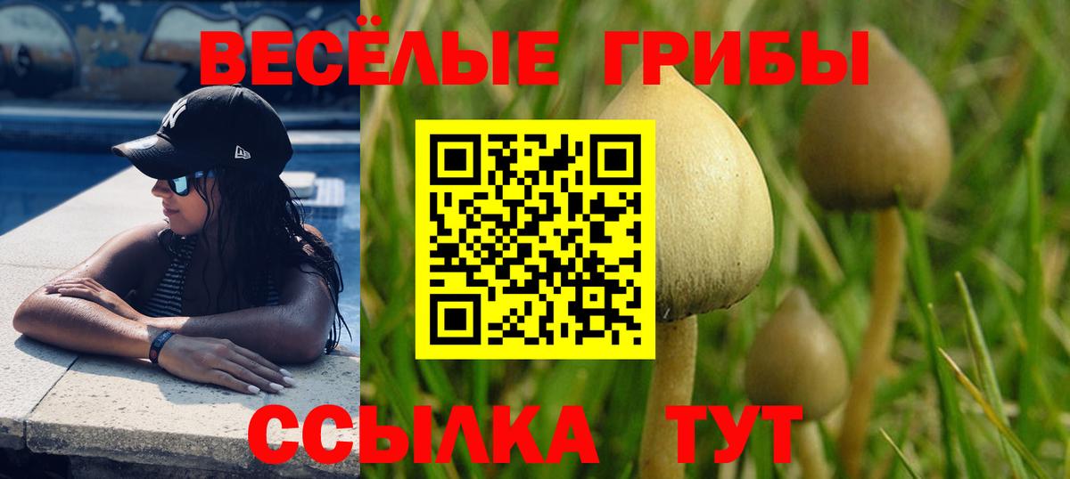 Псилоцибиновые грибы мицелий Гусь-Хрустальный